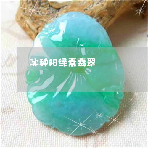 冰种阳绿素翡翠/2023040527041 冰种阳绿素翡翠/2023040527041