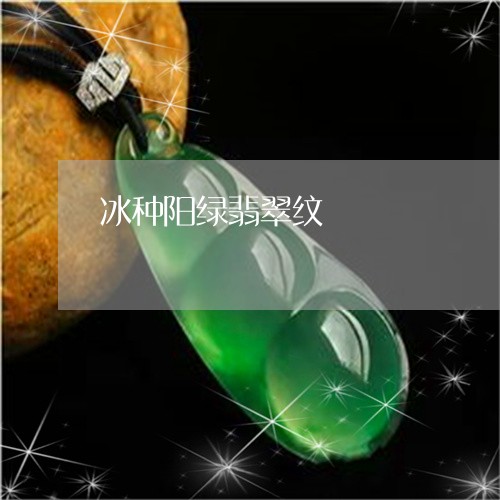 冰种阳绿翡翠纹/2023040520282 冰种阳绿翡翠纹/2023040520282