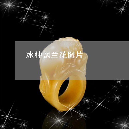 冰种飘兰花图片/2023040559480