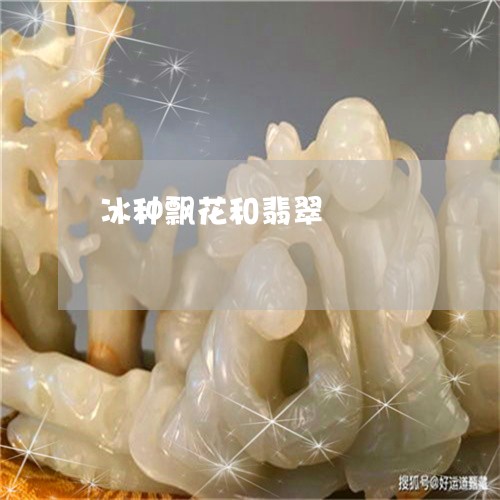 冰种飘花和翡翠/2023040517049 冰种飘花和翡翠/2023040517049