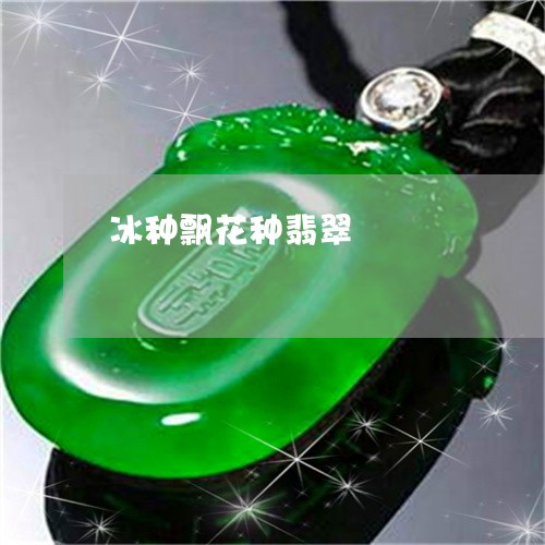 冰种飘花种翡翠/2023040563502 冰种飘花种翡翠/2023040563502