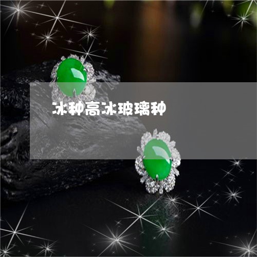 冰种高冰玻璃种/2023040508161
