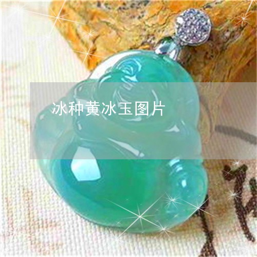 冰种黄冰玉图片/2023040529260