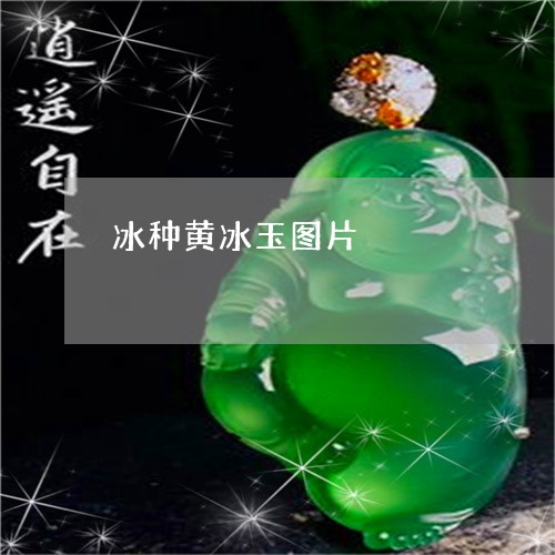 冰种黄冰玉图片/2023040552692