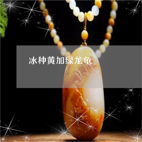 冰种黄加绿龙龟/2023040584704 冰种黄加绿龙龟/2023040584704