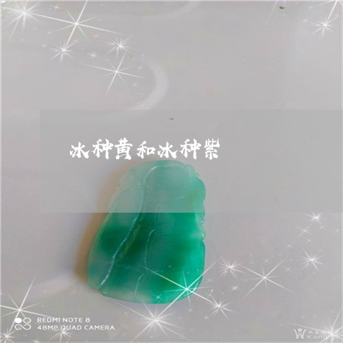 冰种黄和冰种紫/2023040585269 冰种黄和冰种紫/2023040585269