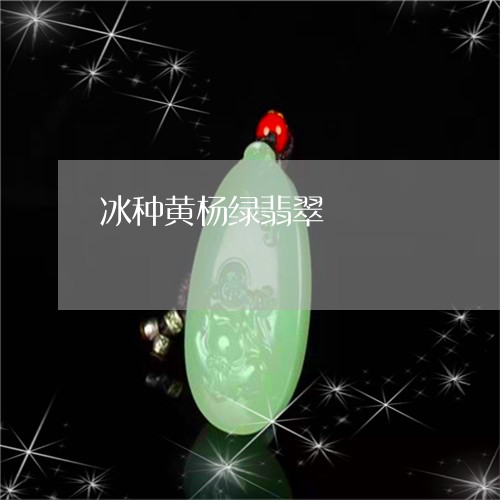 冰种黄杨绿翡翠/2023040562825 冰种黄杨绿翡翠/2023040562825