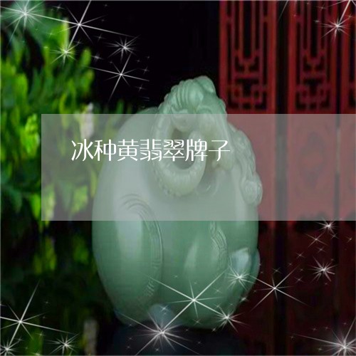 冰种黄翡翠牌子/2023040514059 冰种黄翡翠牌子/2023040514059
