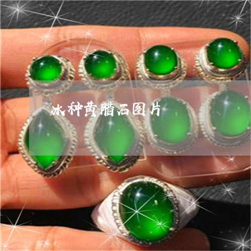 冰种黄腊石图片/2023040547260 冰种黄腊石图片/2023040547260