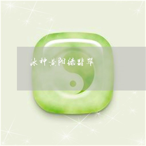 冰种黄阳绿翡翠/2023040565169 冰种黄阳绿翡翠/2023040565169