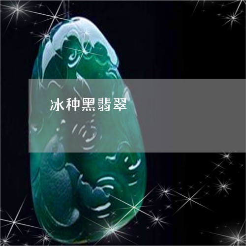 冰种黑翡翠/2023071541485