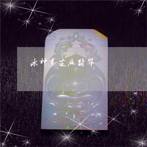 冰种黑芝麻翡翠/2023040504717 冰种黑芝麻翡翠/2023040504717