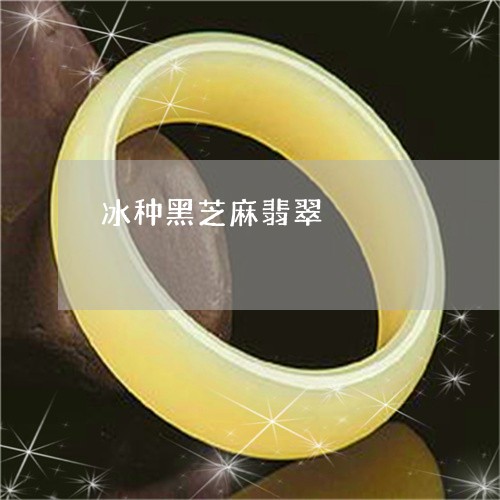 冰种黑芝麻翡翠/2023040525027 冰种黑芝麻翡翠/2023040525027