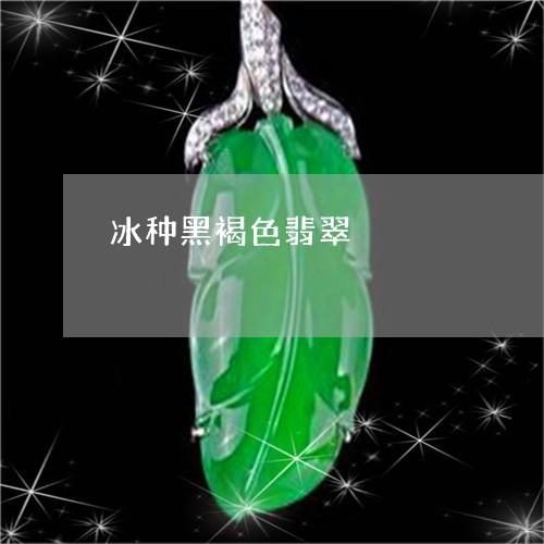 冰种黑褐色翡翠/2023040564821 冰种黑褐色翡翠/2023040564821