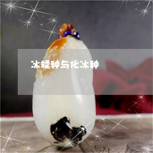 冰糯种与化冰种/2023040541625 冰糯种与化冰种/2023040541625