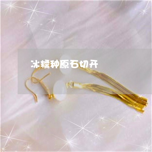 冰糯种原石切开/2023040504036