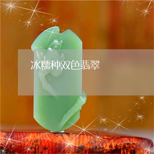 冰糯种双色翡翠/2023040502694