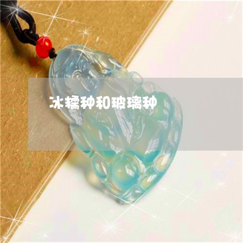 冰糯种和玻璃种/2023040596837 冰糯种和玻璃种/2023040596837