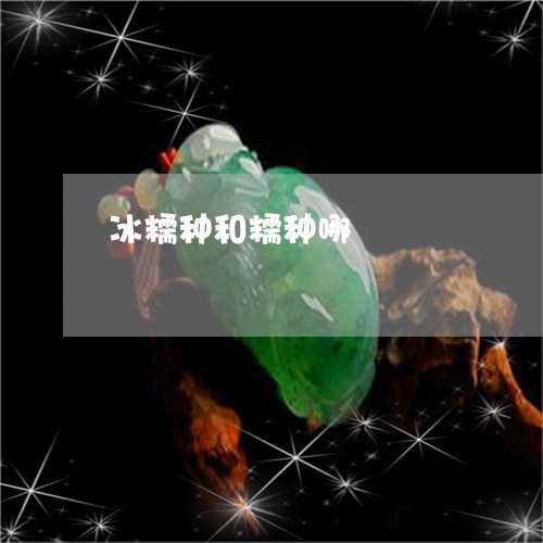 冰糯种和糯种哪/2023040596270 冰糯种和糯种哪/2023040596270