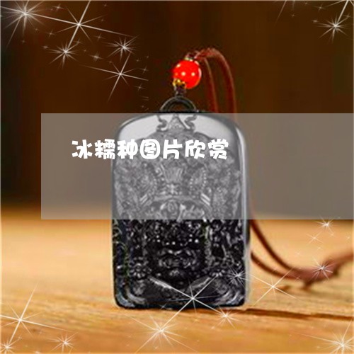 冰糯种图片欣赏/2023040504816 冰糯种图片欣赏/2023040504816