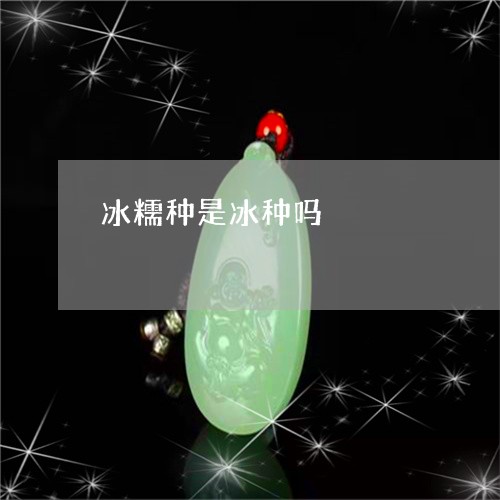 冰糯种是冰种吗/2023040538389