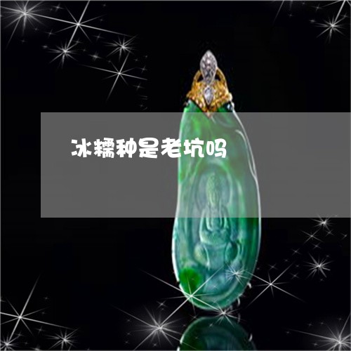 冰糯种是老坑吗/2023040531683