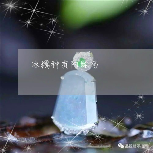 冰糯种有阳绿吗/2023040515027