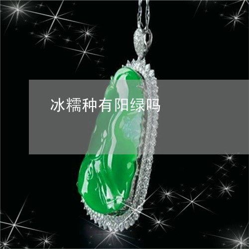 冰糯种有阳绿吗/2023040568481