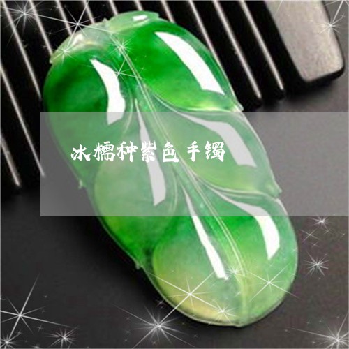 冰糯种紫色手镯/2023040524048 冰糯种紫色手镯/2023040524048
