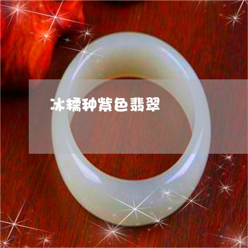 冰糯种紫色翡翠/2023040596169 冰糯种紫色翡翠/2023040596169