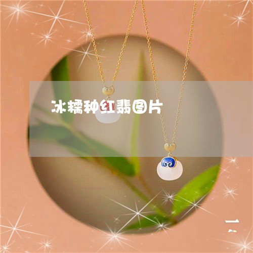 冰糯种红翡图片/2023040557250 冰糯种红翡图片/2023040557250