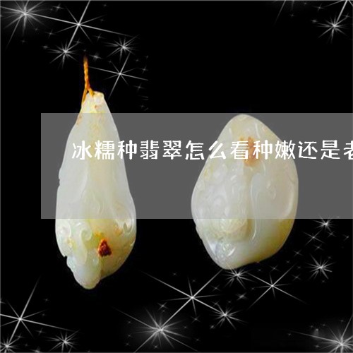 冰糯种翡翠怎么看种嫩还是老/2023071215130