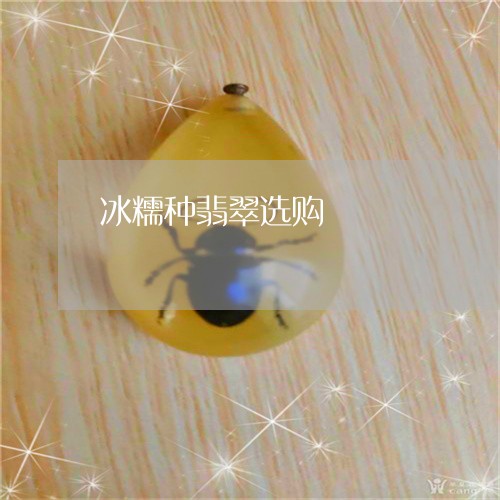 冰糯种翡翠选购/2023040523040 冰糯种翡翠选购/2023040523040