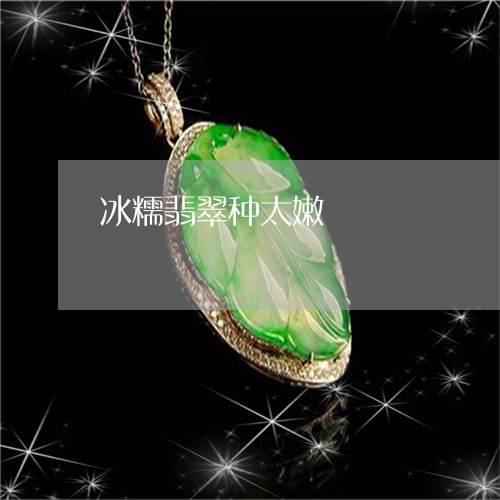 冰糯翡翠种太嫩/2023040595904
