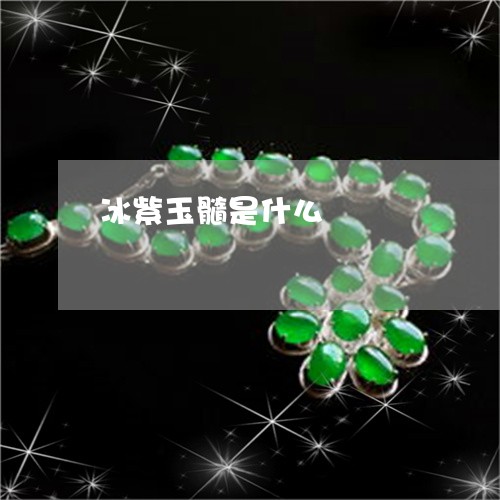 冰紫玉髓是什么/2023040505916