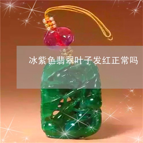 冰紫色翡翠叶子发红正常吗/2023062948350