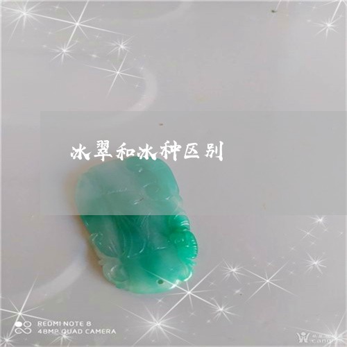 冰翠和冰种区别/2023040549271 冰翠和冰种区别/2023040549271