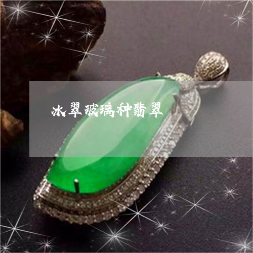 冰翠玻璃种翡翠/2023040530463 冰翠玻璃种翡翠/2023040530463