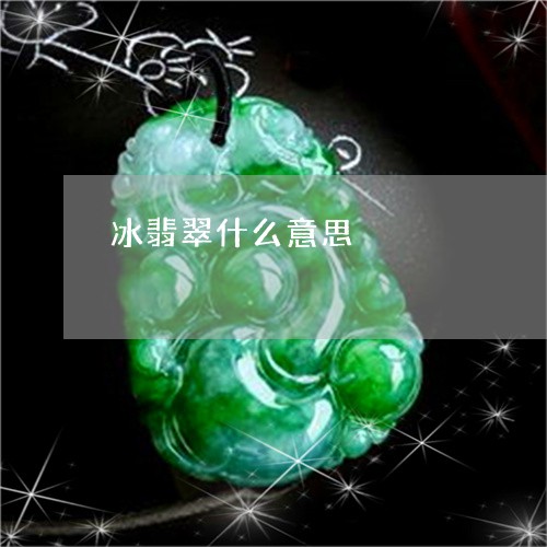 冰翡翠什么意思/2023040543593 冰翡翠什么意思/2023040543593
