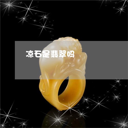 凉石是翡翠吗/2023032059483 凉石是翡翠吗/2023032059483