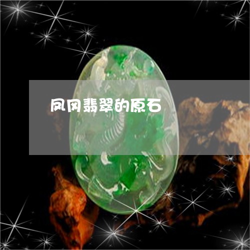 凤冈翡翠的原石/2023040539370 凤冈翡翠的原石/2023040539370