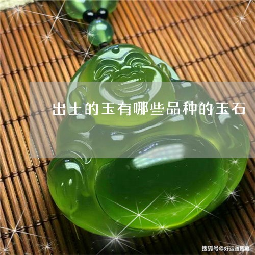 出土的玉有哪些品种的玉石/2023062962694