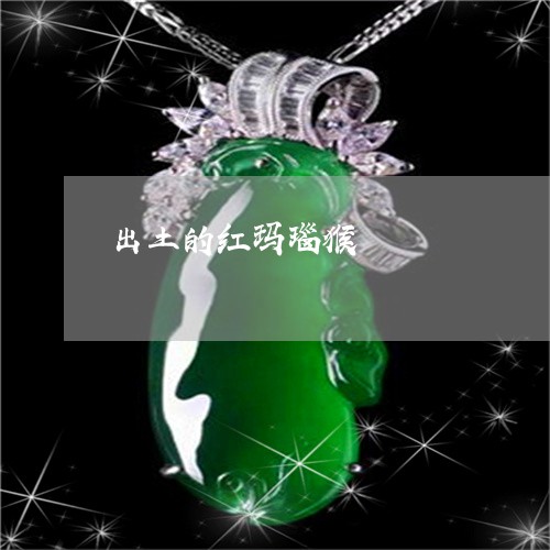 出土的红玛瑙猴/2023040599494 出土的红玛瑙猴/2023040599494