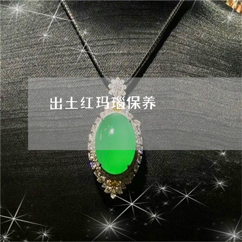 出土红玛瑙保养/2023040541371