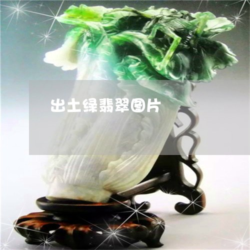 出土绿翡翠图片/2023040573692