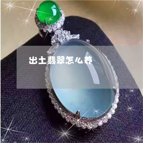 出土翡翠怎么养/2023040525268 出土翡翠怎么养/2023040525268