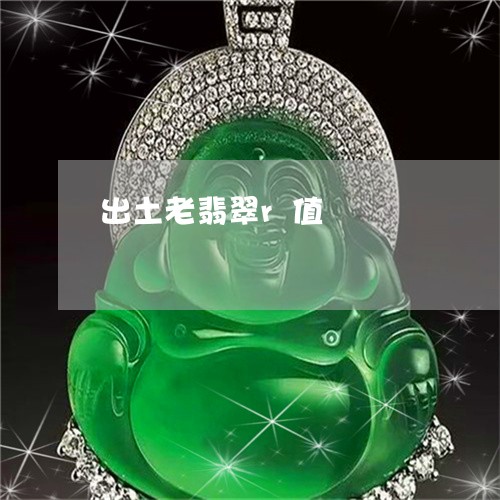 出土老翡翠r值/2023040550684