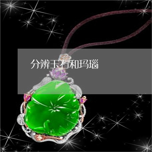 分辨玉石和玛瑙/2023040592846 分辨玉石和玛瑙/2023040592846