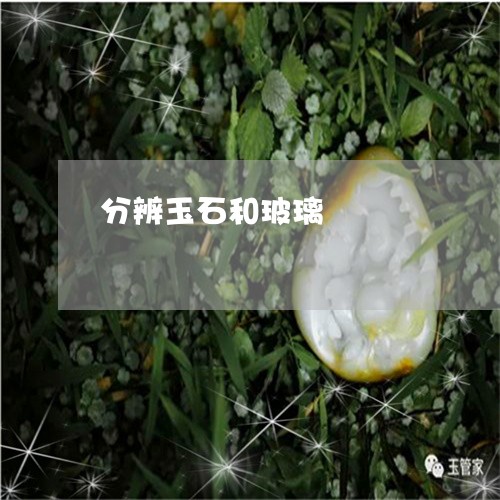 分辨玉石和玻璃/2023040564613 分辨玉石和玻璃/2023040564613