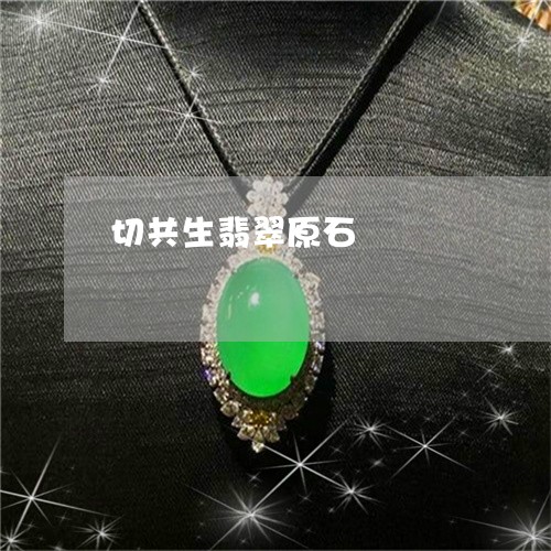 切共生翡翠原石/2023040504714 切共生翡翠原石/2023040504714